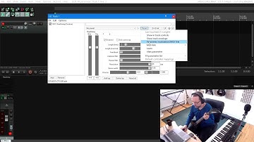 ReaDelay + Parameter Modulation
