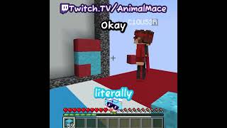 THE ULTIMATE REMATCH😭😭Connect 4 Minecraft