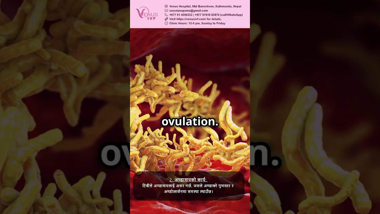 Pelvic Tuberculosis & Fertility – What You Need to Know!