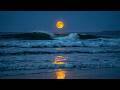 Calming Ocean Waves 🌊 Stress Relief, Meditation &amp; Study Ambience 🌙 Ultimate Relaxation &amp; Deep Sleep