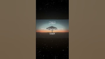سورة يس|51-55|القارئ:#محمد_اللحيدان #قران #quran #راحة_نفسية #قران_كريم #تلاوة_هادئة#آية#تلاوة_خاشعة