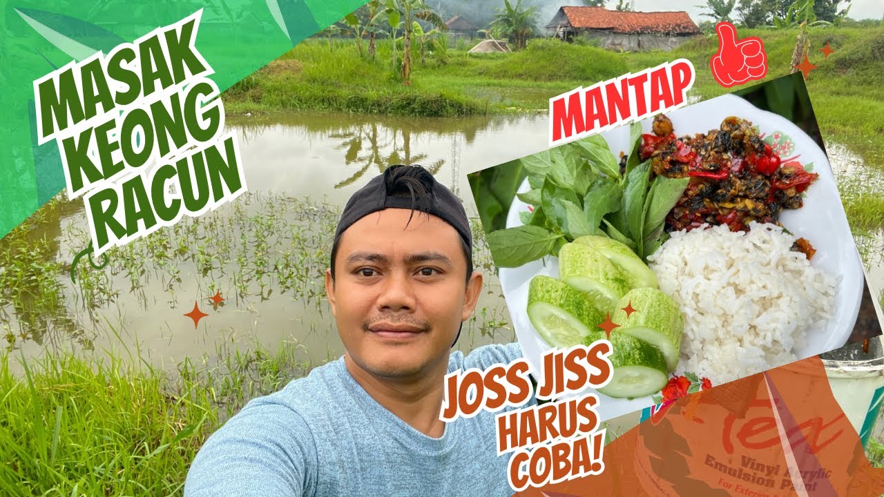 Masak dan berburu keong racun di area persawahan lalu aku masak goreng pedas🤤