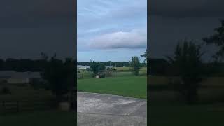 Mini apprentice s crash