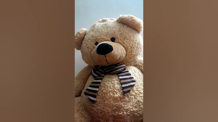 bought New teddy bear