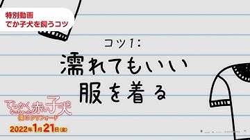 映画『でっかくなっちゃった赤い子犬 僕はクリフォード』特別映像＜Clifford Tips＞
