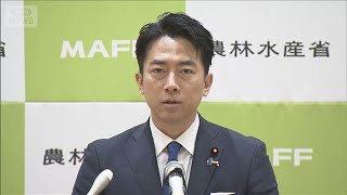 【速報】小泉進次郎農水大臣を防衛大臣で起用へ　自民・高市総裁が方針固める(2025年10月21日)