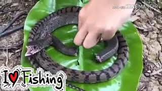 Wanita Cantik Ini Memancing Ikan Besar Pake Umpan Ularr