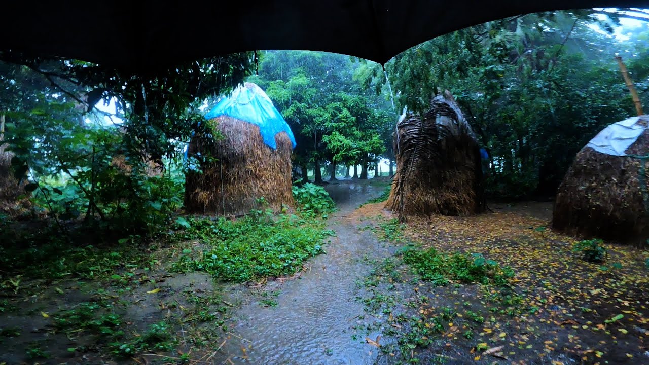 Monsoon Season Beauty | Beautiful Village Rainy Day in Bangladesh