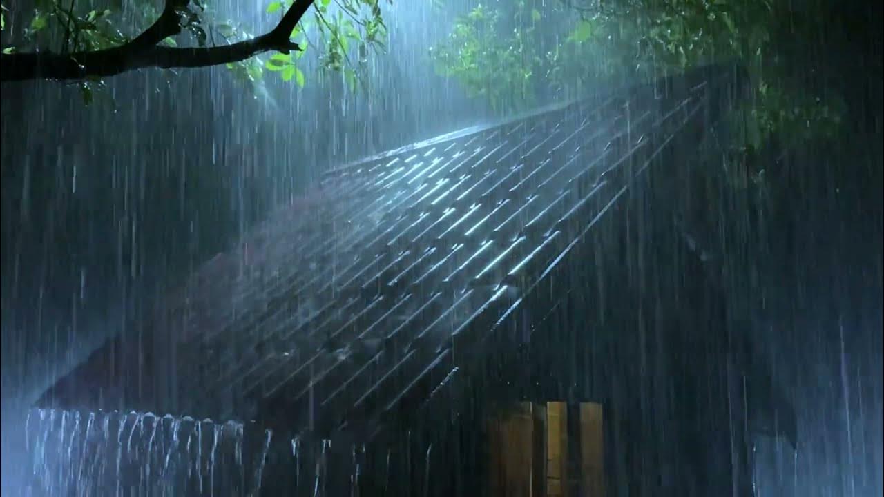 24 часа дождя. Дождливый лес. Крыша дождь. Дождь по крыше. Леса дождь Гром.