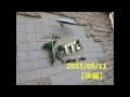 平野カズBAND 2015.9.11【後編】@西荻窪Terra
