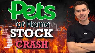 Pets At Home Stock Crashes - Time To Buy?