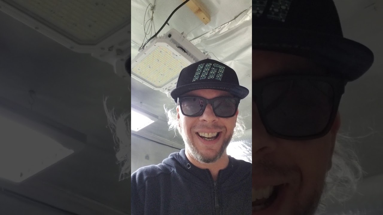 2600 watts! what?! post harvest reflections