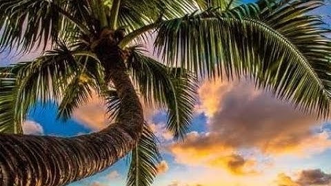 للشيخ عبد العظيم زاهر رحمه الله \ما تيسر من سورة الصافات