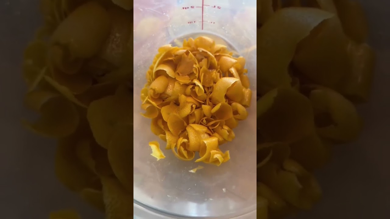 Preserving my Meyer Lemons