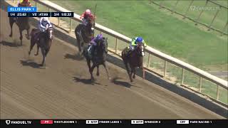 Ellis park race 1 (8/18/2025)