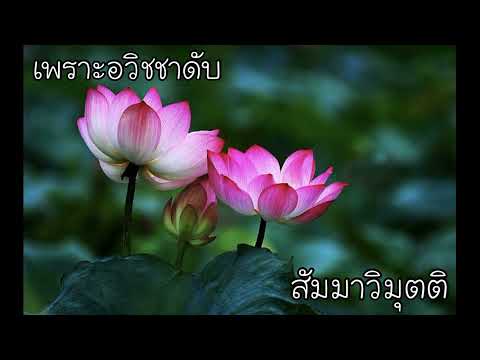 [1036]กายสูตร (อาหารของนิวรณ์ ๕) เป็นไฉน?