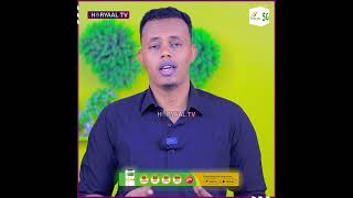 Degdeg Reer Somaliland Oo Qubuuraha In Ay Galaan Looga Digay.