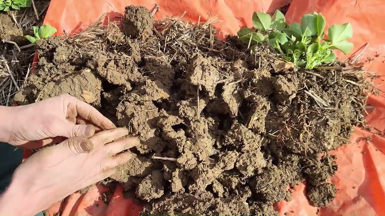 Investigating Soils in the Ash Valley Farming Cluster