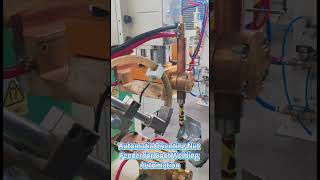 Automatic Orienting Nut Feeder for Spot Welding Automation #resistancewelding #factory