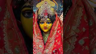 জয় মা মনসা মায়ের জয় 🌺🌺🙏🙏 #youtubeshorts
