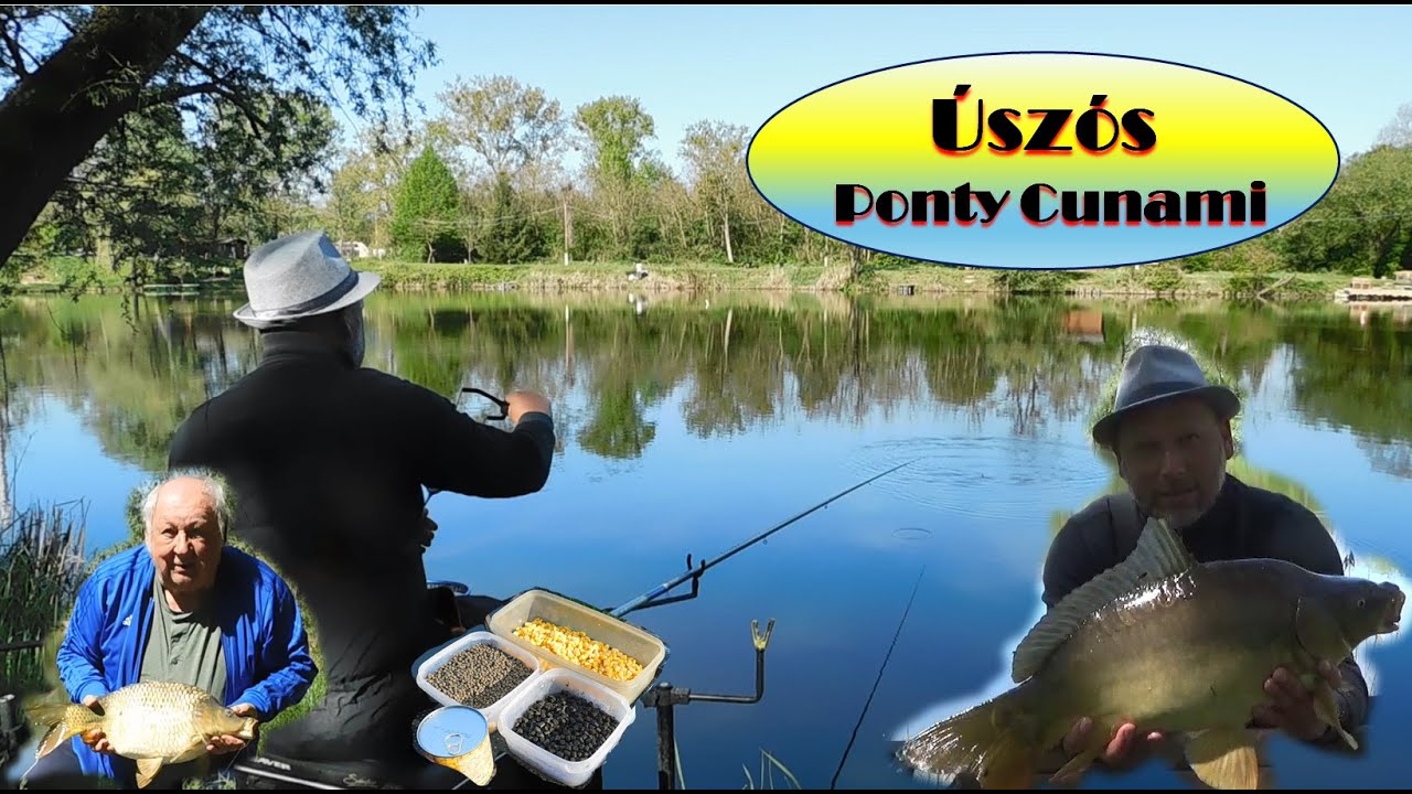 Úszós Ponty Cunami