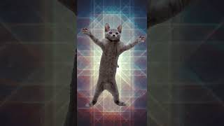 #cat tutorial