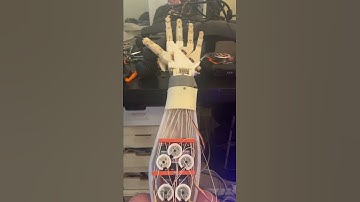 Inmoov Hand Test
