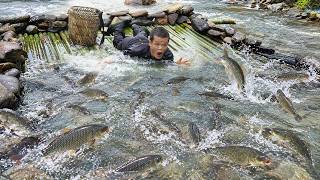 Dwarf Family Primitive Life: Fishing and Eel Traps Made of Bamboo - Roasting Whole Duck Outdoors