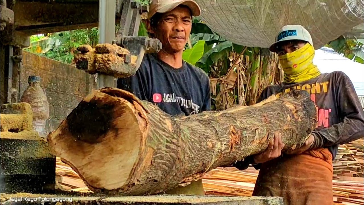 Hardest wood in history sawmill processed with 3x5 blocks of cage