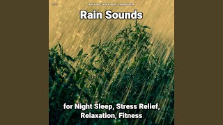 Rain Sounds Pt. 11