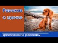 "Рассказ о щенке" Детские христианские рассказы