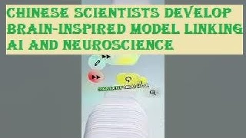 Chinese scientists develop brain inspired model linking AI and neuroscience