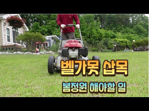 5월 봄이 가기전에 해야할 일들/국화 ,청화 쑥부쟁이 ,벨가못 순지르기해요/삽목하고 파종하고 잔디 깍기 들어갑니다/작약이 폈어요/귀농 13년차 전원생활