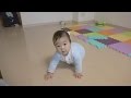 生後7ヶ月の赤ちゃん ハイハイしながらおしゃべり【高画質 SONY HDR-CX900で撮影】