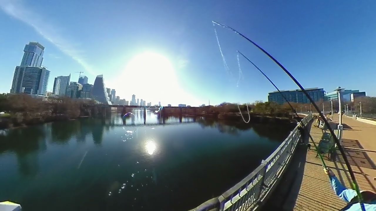 pfluger bridge bubbles, Austin, TX  3-1-2025