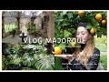 Vlog majorque 1  dpart de paris visites de jardins botaniques dalfabia et de soller