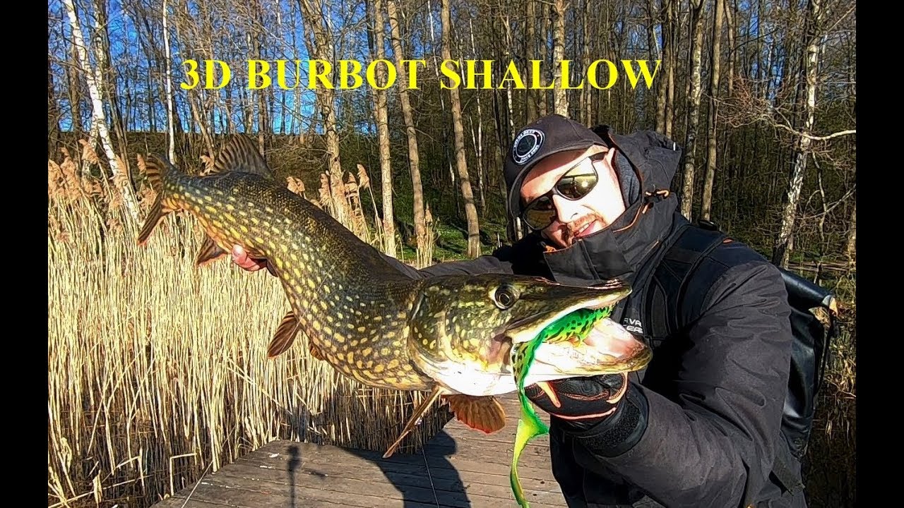 Soft Baits Lures for pike and musky Savage Gear 3D Burbot