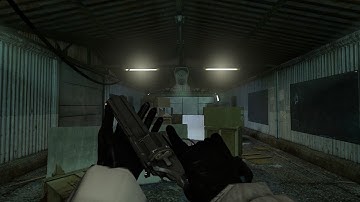 Entropy: Zero 2 — Weapon Inspection Mod