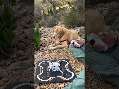 Tyrion muy atento al despegue del Antigravity A1 #primerdron360