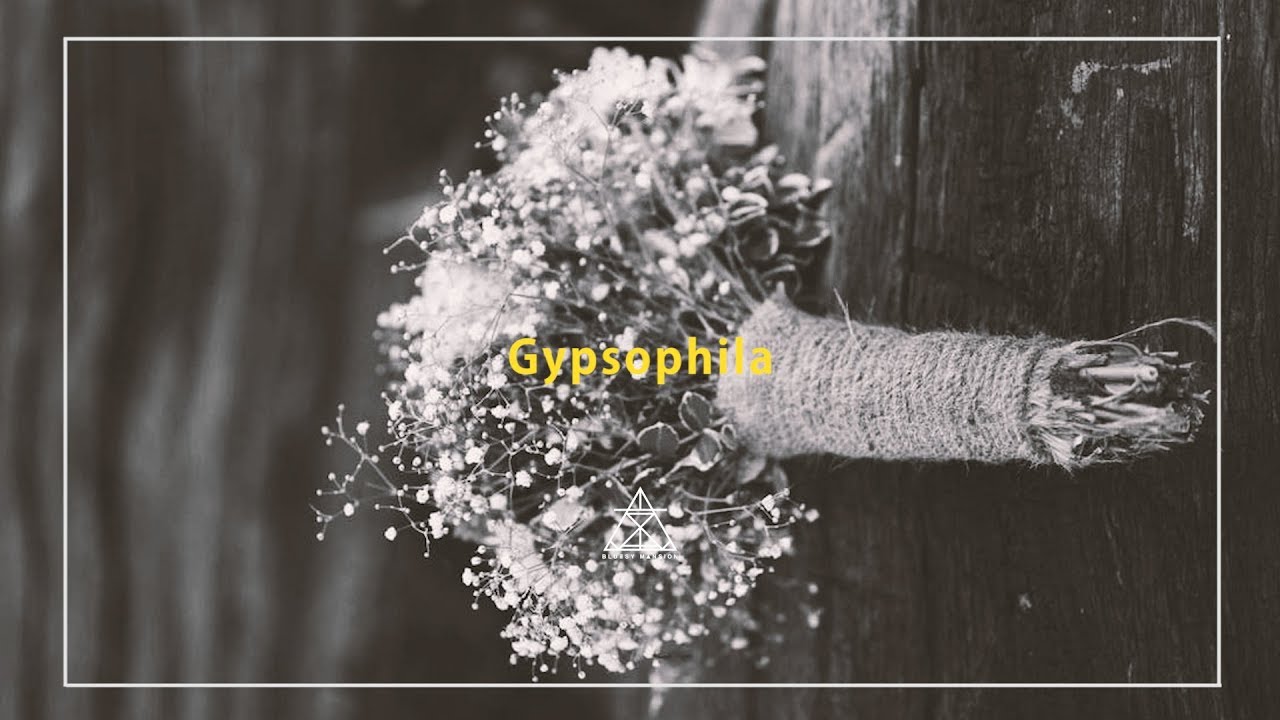 DPR LIVE X 크루셜스타 X 크러쉬 - "Gypsophila" Instrumental/Type beat New 2017 [SOLD]
