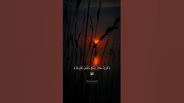 #القارئ ياسر الدوسري 🤍🎧
