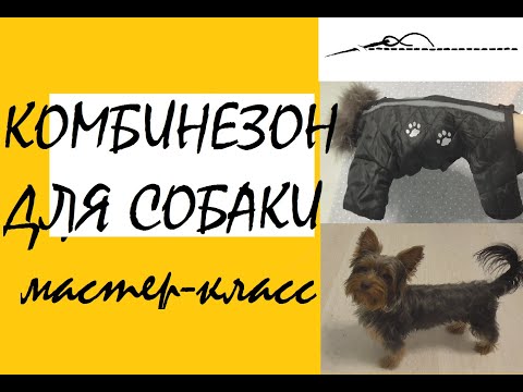 Как сшить зимний комбинезон собаке