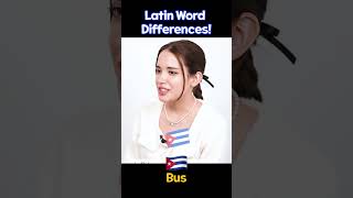 Latin word differences! Did you know bus is cuba is baby in chile, puppy in mexico? #brazil #mexico