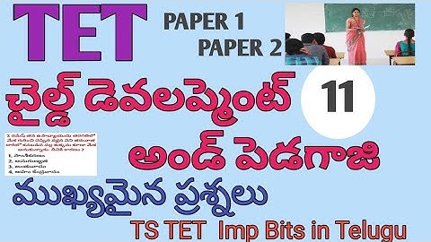 TS TET CHILD DEVELOPMENT AND PEDAGOGY IMP BITS IN TELUGU| TS TET PAPER 1 PAPER 2 IMP BITS IN TELUGU