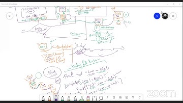 Linked Lists with Dynamic memory Allocation