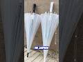 Umbrellas in Japan are left behind on purpose #shorts
