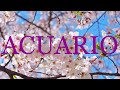 ACUARIO ♒️ESCUCHA!! EN HORAS YA NADA ES COMO ERA!!! TODO SUCEDE MUY RÁPIDO !! #acuario #parati #hoy