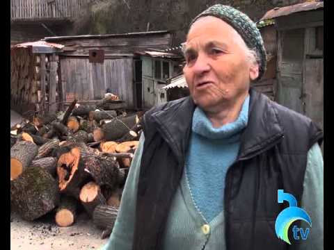 საშეშე მერქანი სოციალურად დაუცველებს