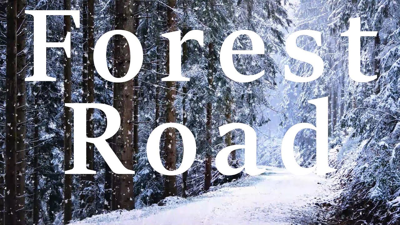 Forest Road - Soothing Ethereal Sleep Meditation Fantasy Ambient Music