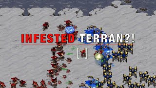 Can Infested Terran Hydra beat Zealot Dragoon?